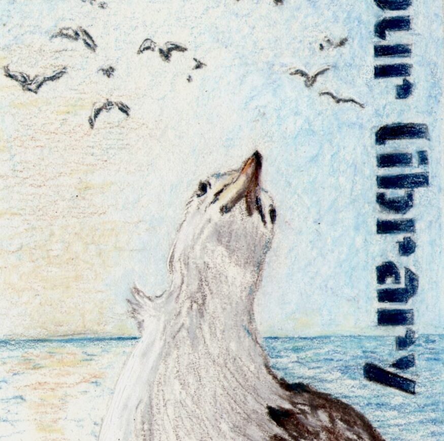 Acton Library Bookmark Contest