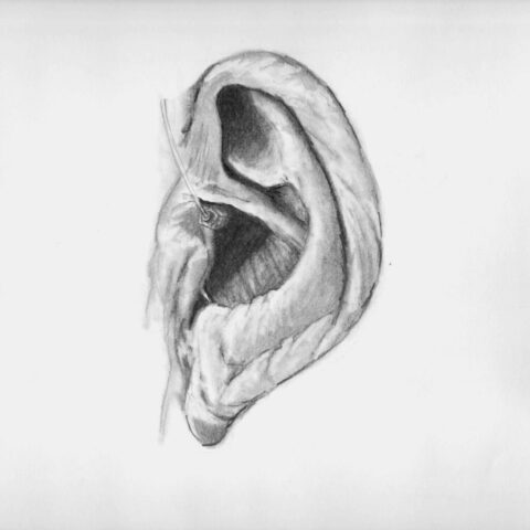 Ear3
