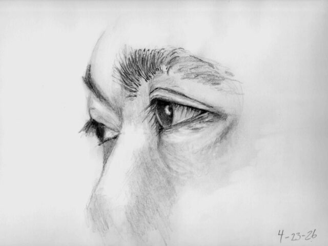 Eyes profile4