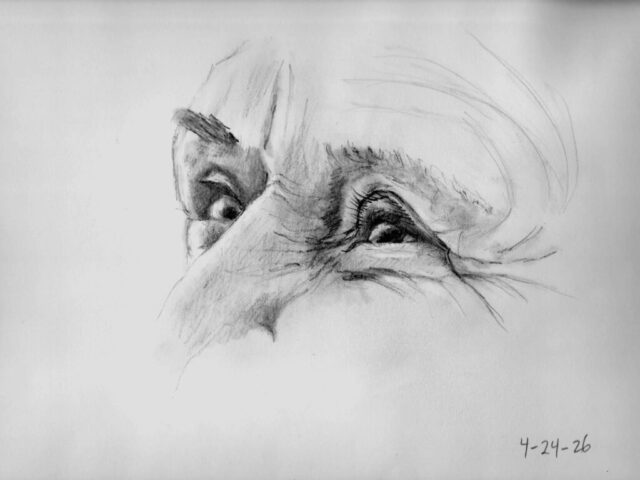 Eyes profile5