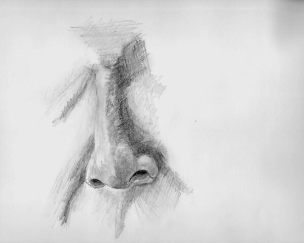 Nose1