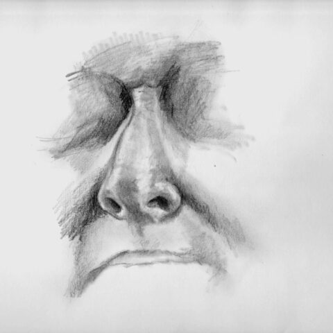 Nose2